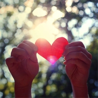 Сердце вашей установки